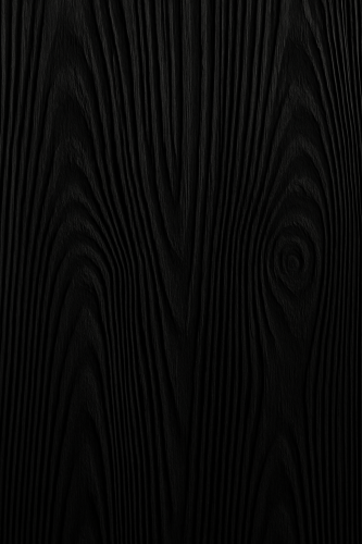 ЛДСП Эггер Лес Черный 18 мм U998 ST38